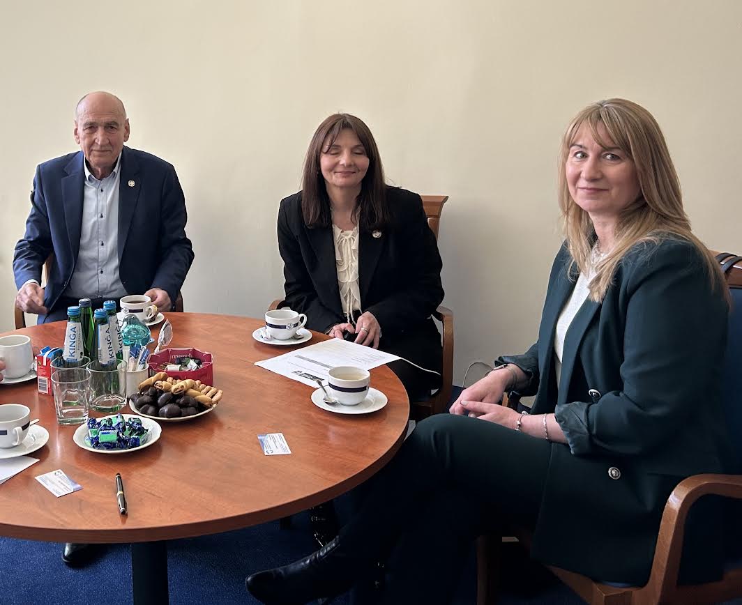 Spotkanie studentów Instytutu Pedagogiki z przedstawicielami Towarzystwa Przyjaciół Dzieci Zachodniopomorskiego Oddziału Regionalnego w Szczecinie