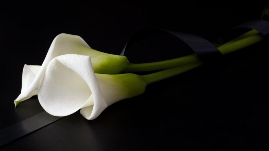 Wyrazy współczucia